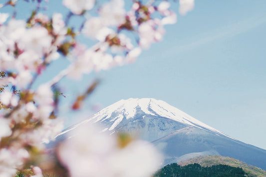 5 Best Luxury Japanese Towels You Can Find Online in 2023
