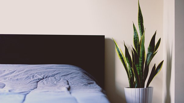 What Are Antimicrobial Bed Sheets and How It's Good For Sensitive Skin?