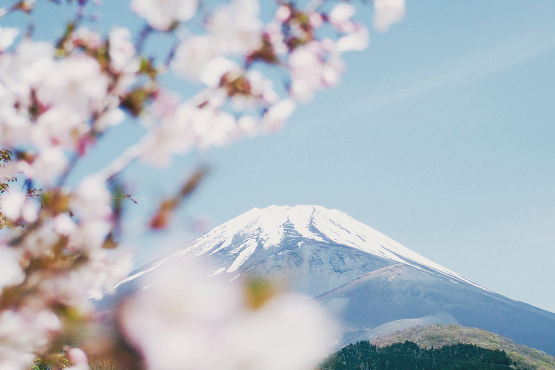 5 Best Luxury Japanese Towels You Can Find Online in 2023